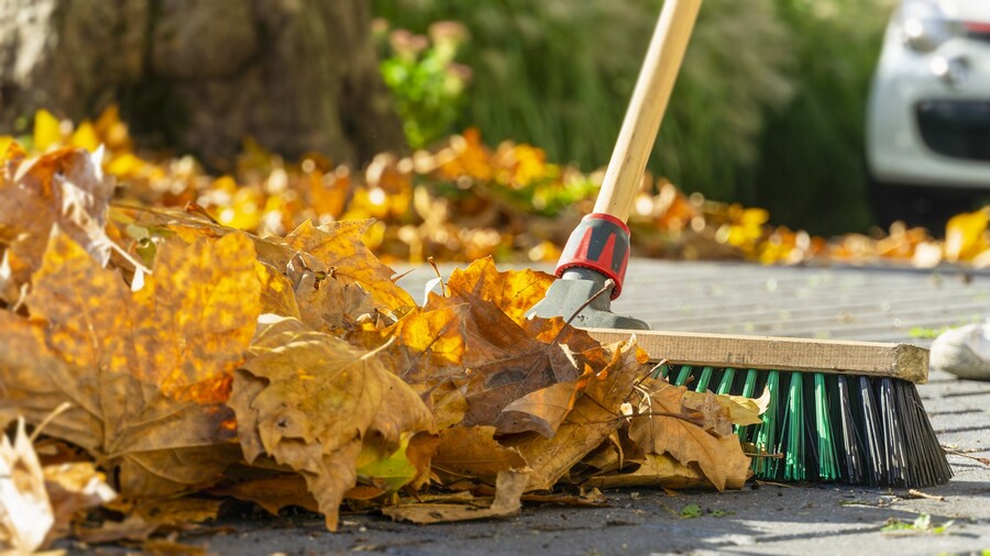 Leaf removal by Jason's Quality Landscaping.