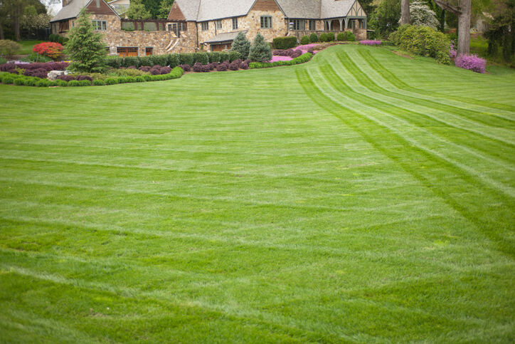 Lawn care by Jason's Quality Landscaping.