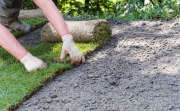 Sod Installation in Apex