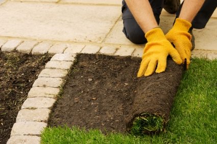 Lawn installation in Garner, NC by Jason's Quality Landscaping.