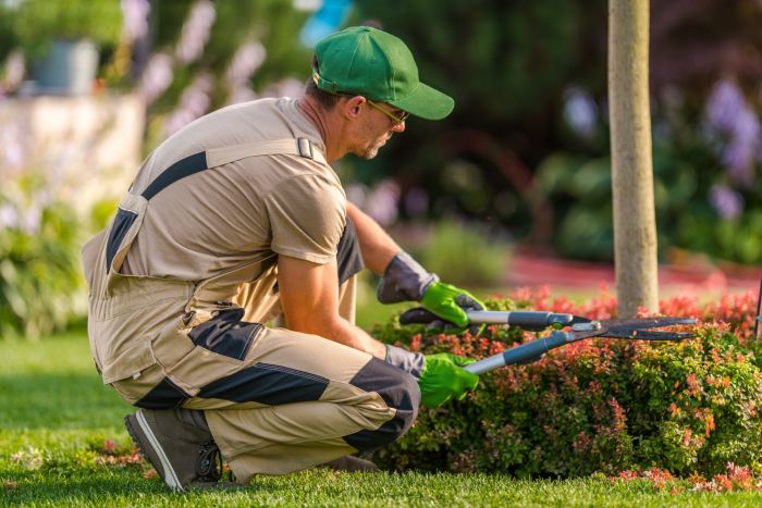 Spring cleanup by Jason's Quality Landscaping.