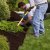 Youngsville Spring Clean Up by Jason's Quality Landscaping