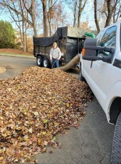 Leaf removal in Wilsons Mill, NC by Jason's Quality Landscaping.